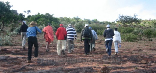 hiking group for singles and friends