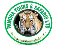 panora logo