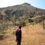 Dry grassland on Oloroka slopes