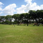 Expansive lawns at Uhuru Park