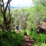 forest on ol donyo orok