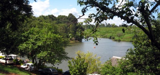 Lake view at Paradise Lost