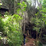 Nature trails at Paradise Lost