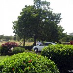 Picnicking at Uhuru Gardens