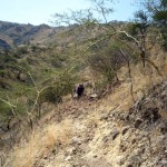 Rocky trail up Oloroka