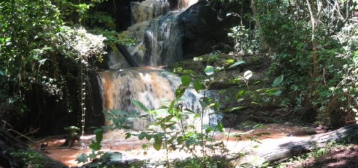 karura waterfalls