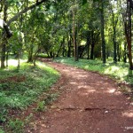 Nature trail in Nairobi Arboretum