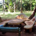 Park benches at Nairobi Arboretum