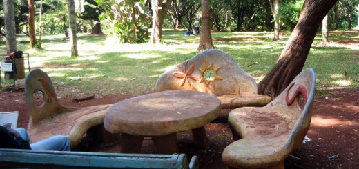 Park benches at Nairobi Arboretum