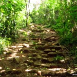 Stairway at Nairobi Arboretum