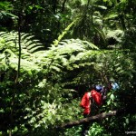 Gatamaiyu riverine walk