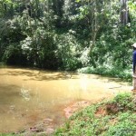 elephant pool in kereita forest