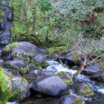 Mountain stream on Chogoria route Mt Kenya