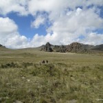 Dragon's teeth in Northern Aberdares