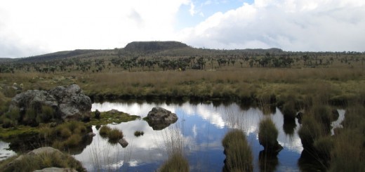 view of table mountain, aberdares