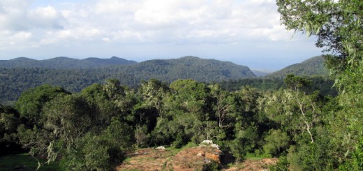 views from loita hills summit