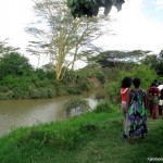 Hippo pools riverine walk