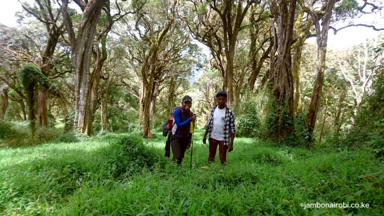 Aberdares Hiking Mutarakwa To Kinangop Summit Jambonairobi