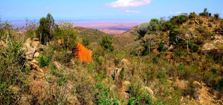 View on Mathews Range